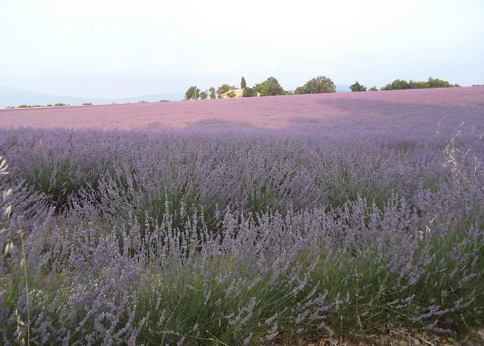 Lejlighed L' Ensoleilladou