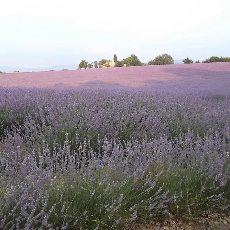 Apartment L' Ensoleilladou